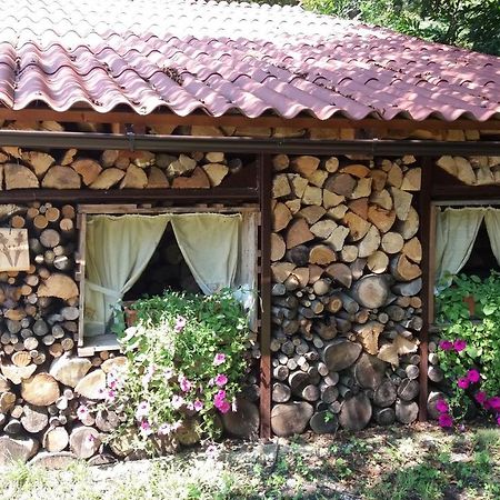 Appartment Bezenica Dobrova Exterior photo
